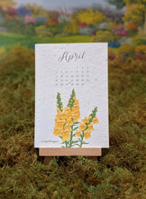 Load image into Gallery viewer, 2025 Plantable Wildflower Calendar