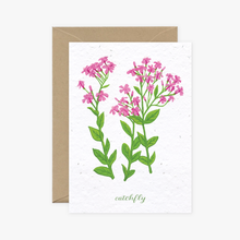 Load image into Gallery viewer, Catchfly