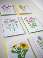 Load image into Gallery viewer, Close up of greeting cards featuring paintings of wildflowers printed on beautifully textured plantable seed paper.