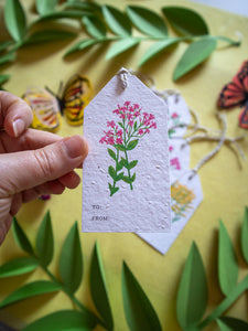 Plantable Wildflower Gift Tags