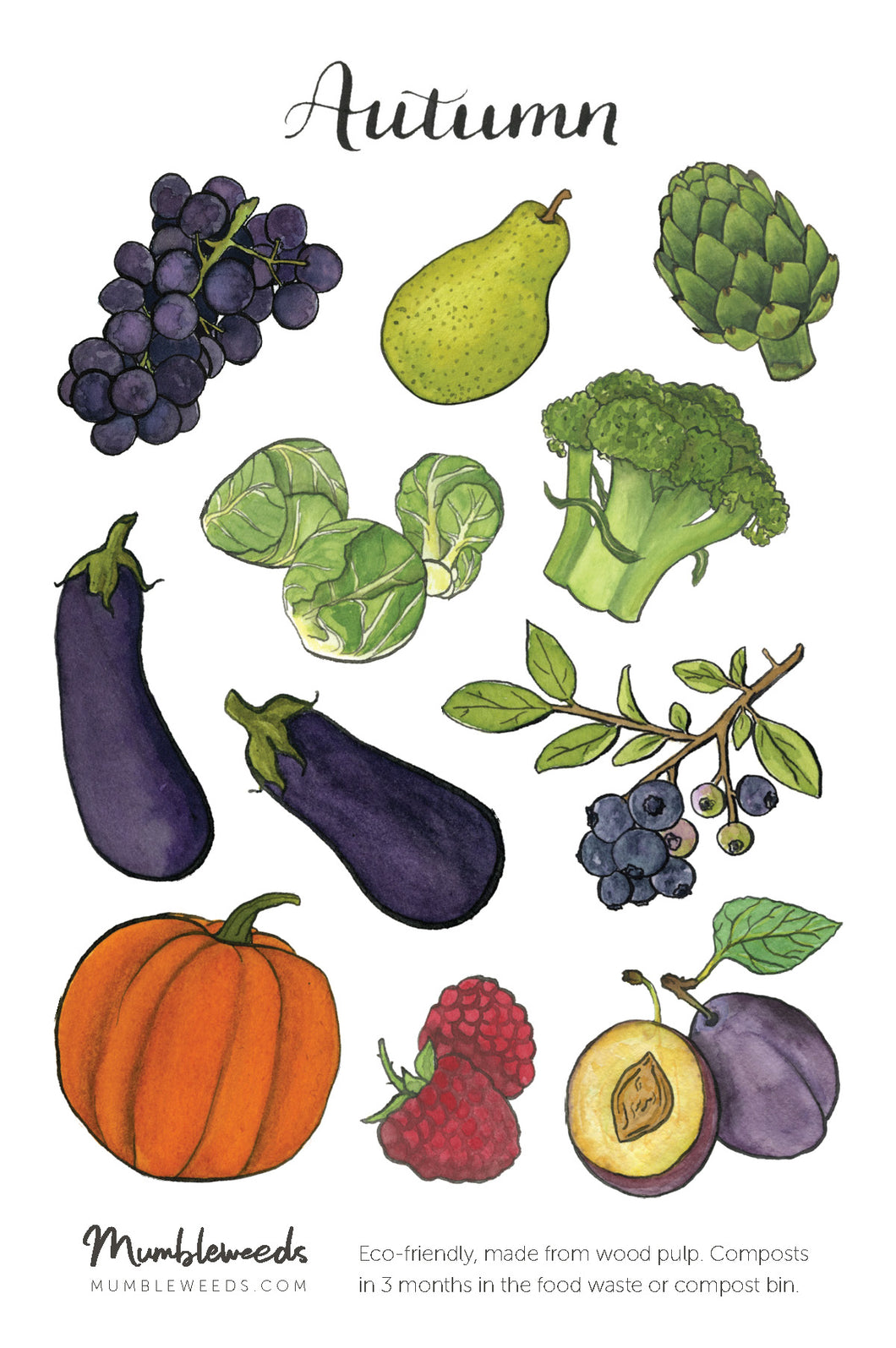Autumn Produce Sticker Sheet
