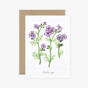 Wildflower Cards Collection