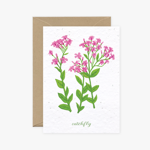 Wildflower Cards Collection