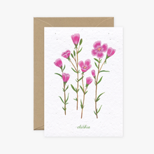 Load image into Gallery viewer, Wildflower Cards Collection