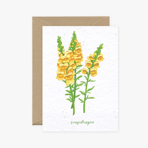 Wildflower Cards Collection