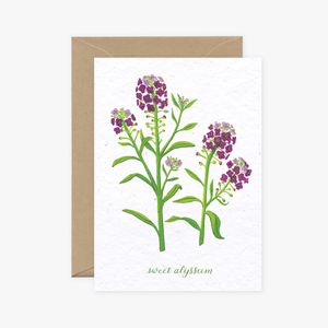 Wildflower Cards Collection