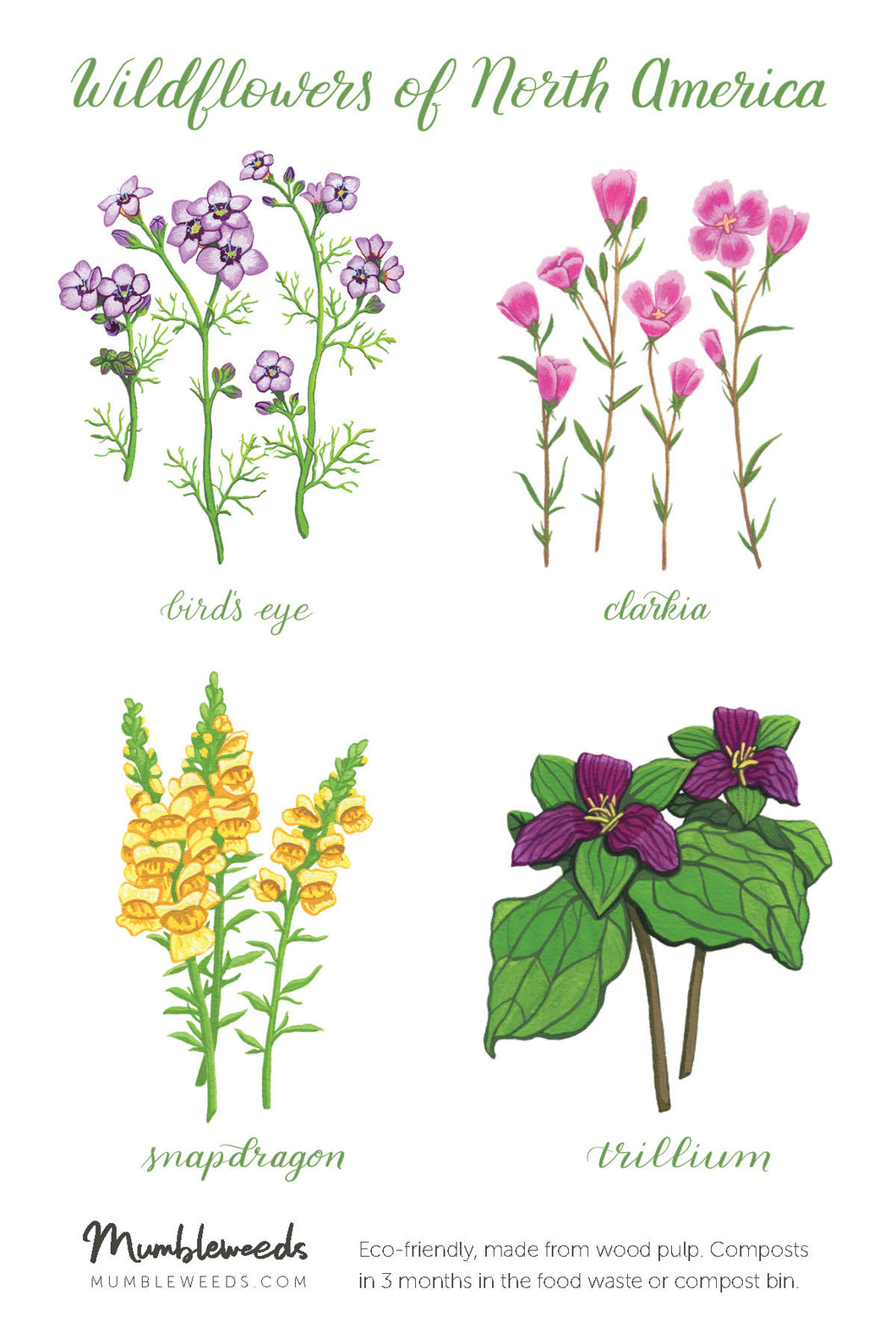 Wildflower Sticker Sheet 1
