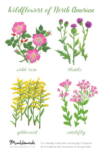 Wildflower Sticker Sheet 3