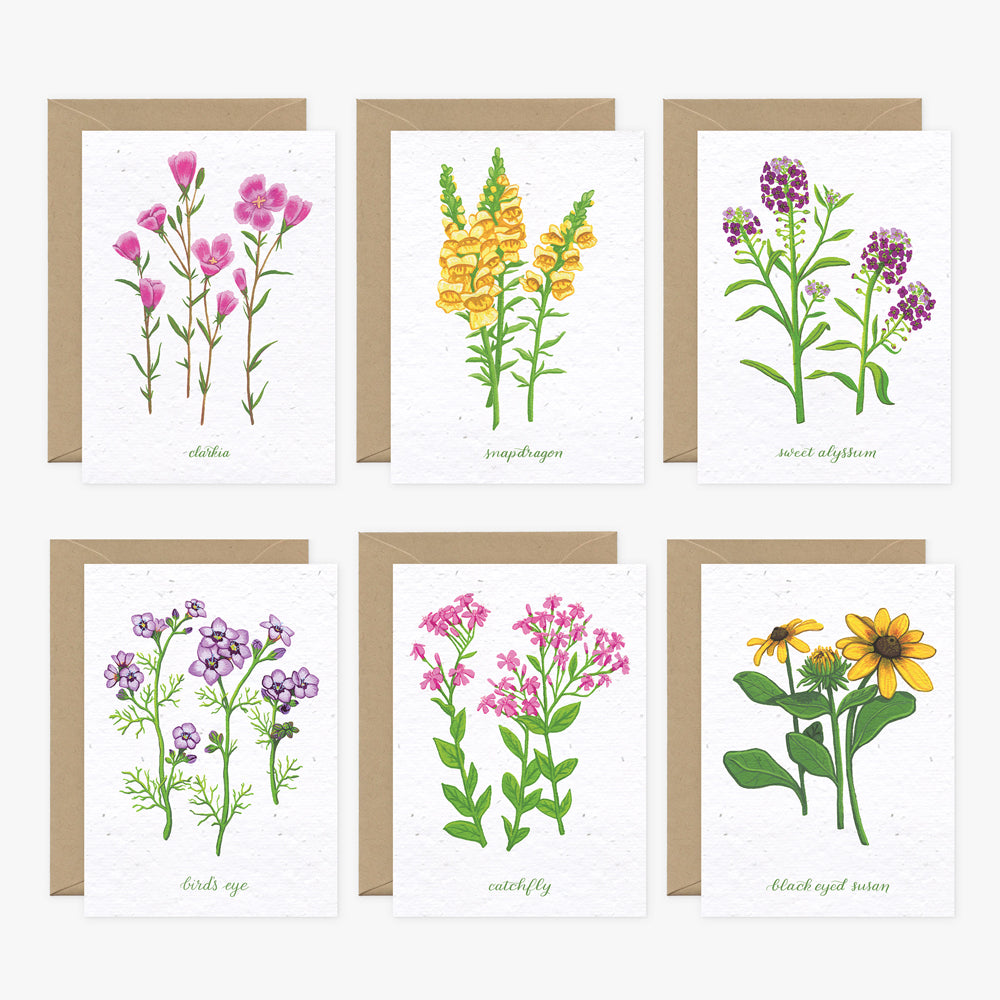 wildflower seeds cards Wildflower Cards Collection – Mumbleweeds