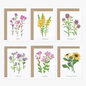 Wildflower Cards Collection