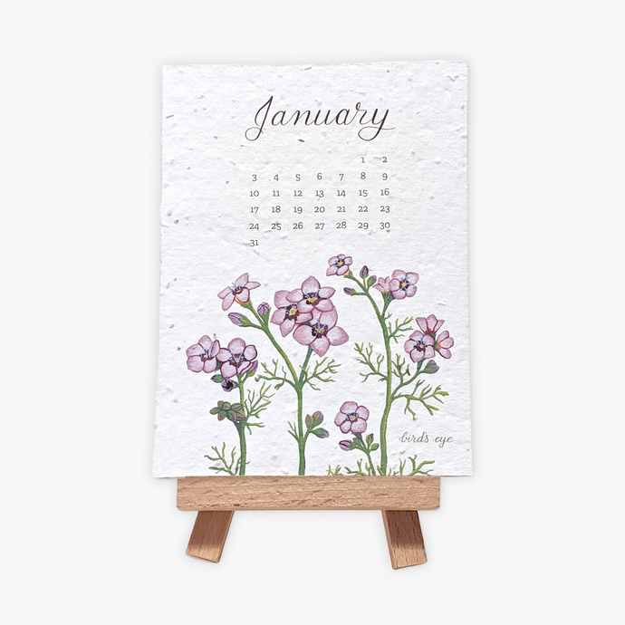 2023 Plantable Wildflower Calendar