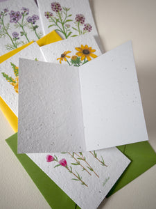 Blank inside of plantable wildflower seed paper card to show the texture.