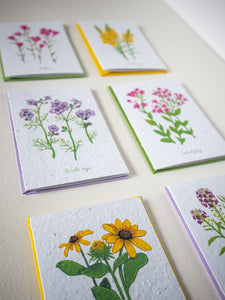 Close up of greeting cards featuring paintings of wildflowers printed on beautifully textured plantable seed paper.