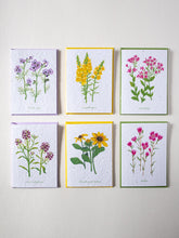 Load image into Gallery viewer, Wildflower Seed Paper Collection