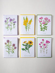 Wildflower Seed Paper Collection