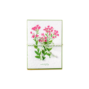 Bundle of greeting cards featuring Canadian and American wildflowers printed on plantable seed paper.